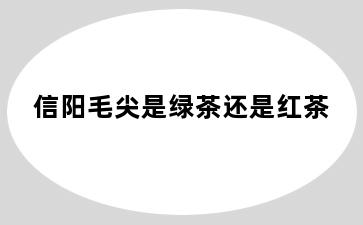 信阳毛尖是绿茶还是红茶