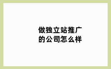 做独立站推广的公司怎么样