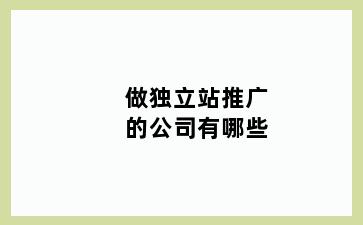 做独立站推广的公司有哪些