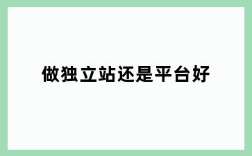 做独立站还是平台好