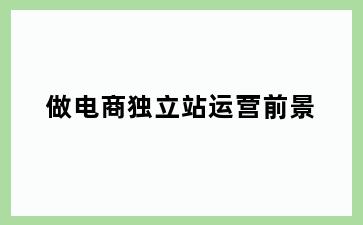 做电商独立站运营前景