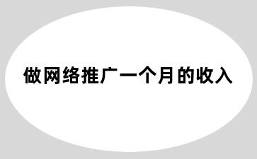 做网络推广一个月的收入