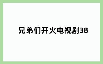 兄弟们开火电视剧38