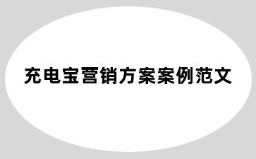 充电宝营销方案案例范文