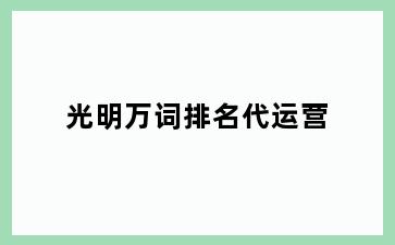 光明万词排名代运营