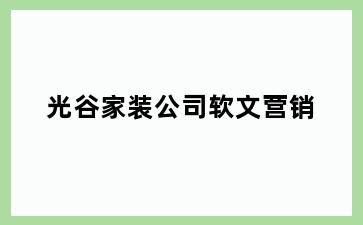 光谷家装公司软文营销