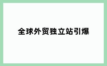 全球外贸独立站引爆
