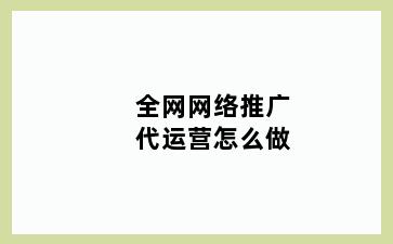 全网网络推广代运营怎么做