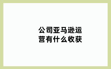 公司亚马逊运营有什么收获