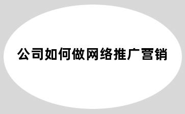 公司如何做网络推广营销