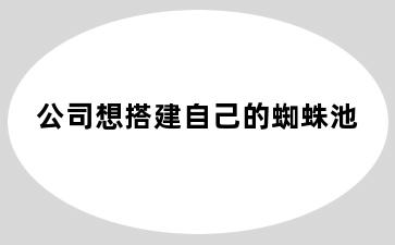 公司想搭建自己的蜘蛛池