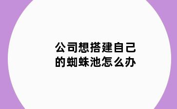 公司想搭建自己的蜘蛛池怎么办