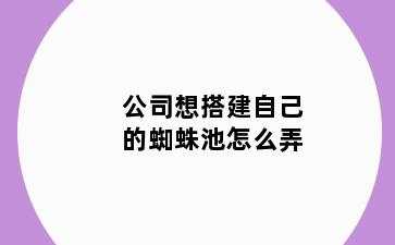 公司想搭建自己的蜘蛛池怎么弄