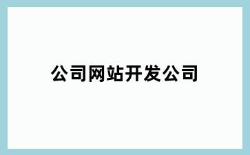公司网站开发公司