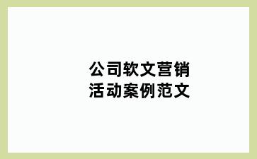 公司软文营销活动案例范文