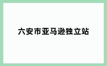 六安市亚马逊独立站