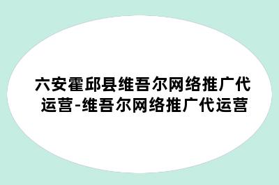 六安霍邱县维吾尔网络推广代运营-维吾尔网络推广代运营