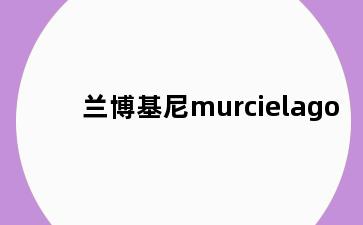 兰博基尼murcielago