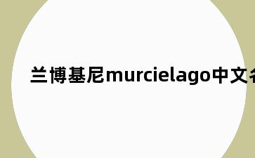 兰博基尼murcielago中文名