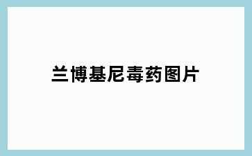 兰博基尼毒药图片
