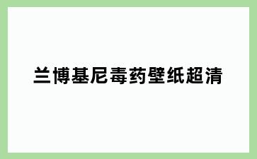 兰博基尼毒药壁纸超清