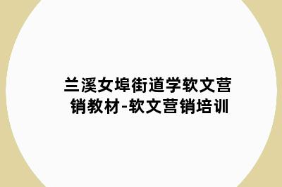 兰溪女埠街道学软文营销教材-软文营销培训