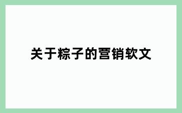 关于粽子的营销软文