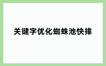 关键字优化蜘蛛池快排