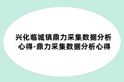 兴化临城镇鼎力采集数据分析心得-鼎力采集数据分析心得