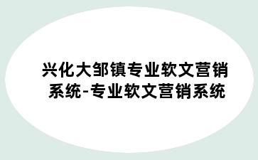兴化大邹镇专业软文营销系统-专业软文营销系统