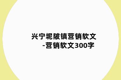 兴宁坭陂镇营销软文-营销软文300字