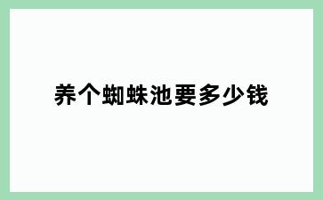 养个蜘蛛池要多少钱