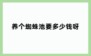养个蜘蛛池要多少钱呀