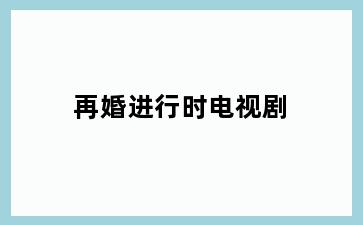 再婚进行时电视剧
