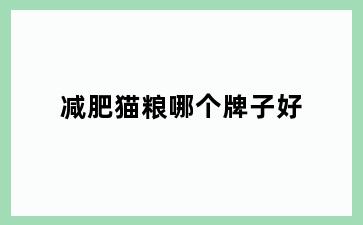 减肥猫粮哪个牌子好