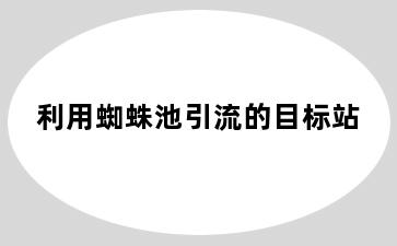 利用蜘蛛池引流的目标站