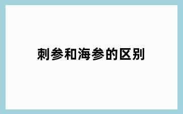刺参和海参的区别