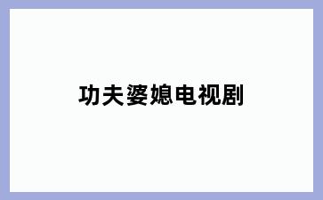 功夫婆媳电视剧