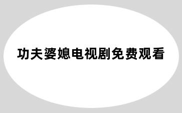 功夫婆媳电视剧免费观看