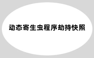 动态寄生虫程序劫持快照