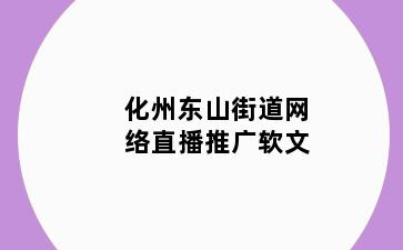 化州东山街道网络直播推广软文