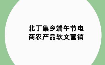 北丁集乡端午节电商农产品软文营销