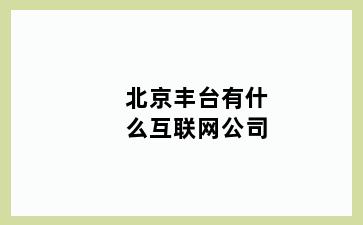 北京丰台有什么互联网公司