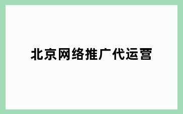 北京网络推广代运营