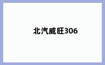 北汽威旺306