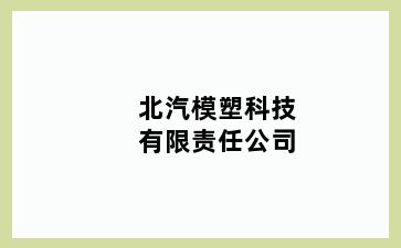 北汽模塑科技有限责任公司