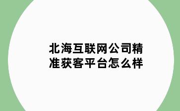 北海互联网公司精准获客平台怎么样