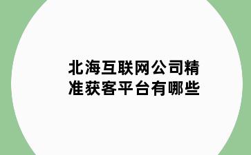 北海互联网公司精准获客平台有哪些