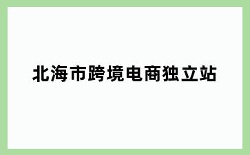 北海市跨境电商独立站
