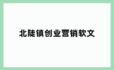 北陡镇创业营销软文